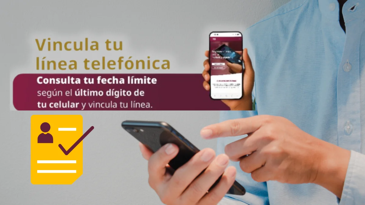 linea 1.webp